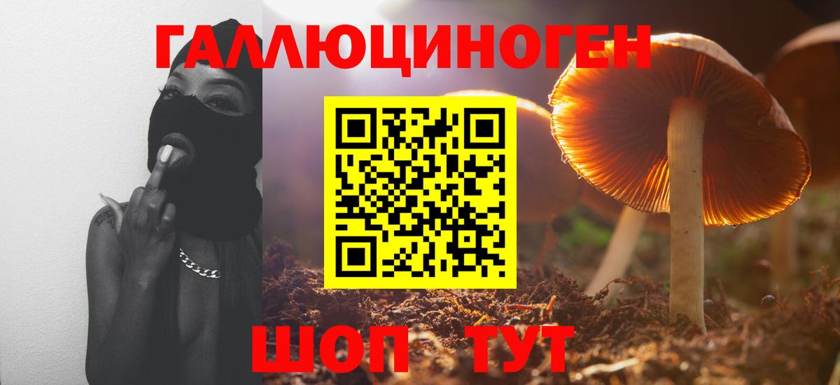 Карабулак  Псилоцибиновые грибы GOLDEN TEACHER  Вход с VPN  Псилоцибиновые грибы GOLDEN TEACHER 